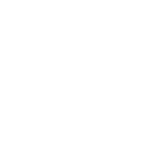 Druid icon