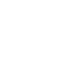 Necromancer icon
