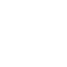 Rogue icon